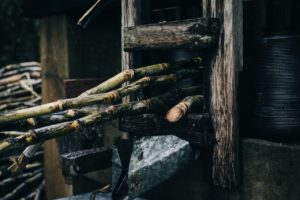 sugar-canes-being-pressed-in-the-machine-2254100